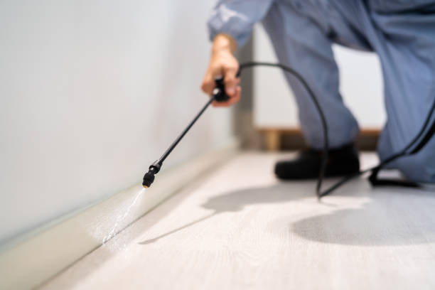 Certified termite inspector examining foundation in Turners Falls