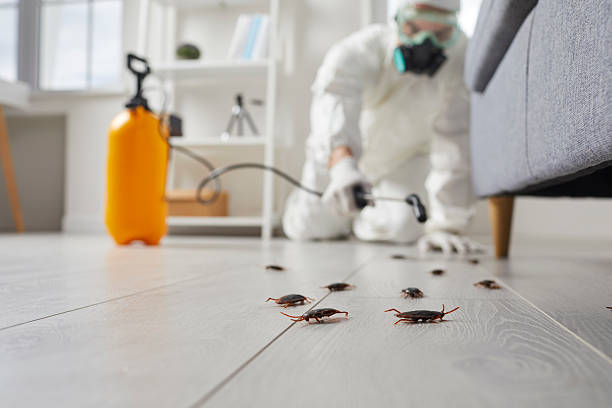 Commercial Kitchen Cockroach Control in Turners Falls
